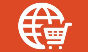 ecommerce development