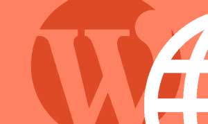 Wordpress Development